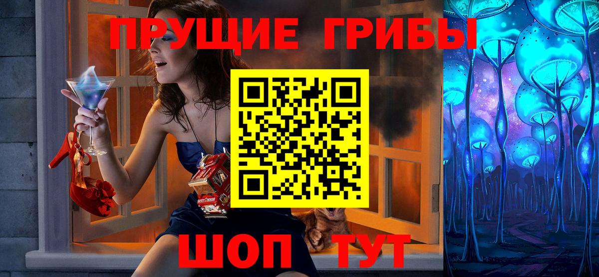 Красноярск  Псилоцибиновые грибы Cubensis  Вход с VPN 