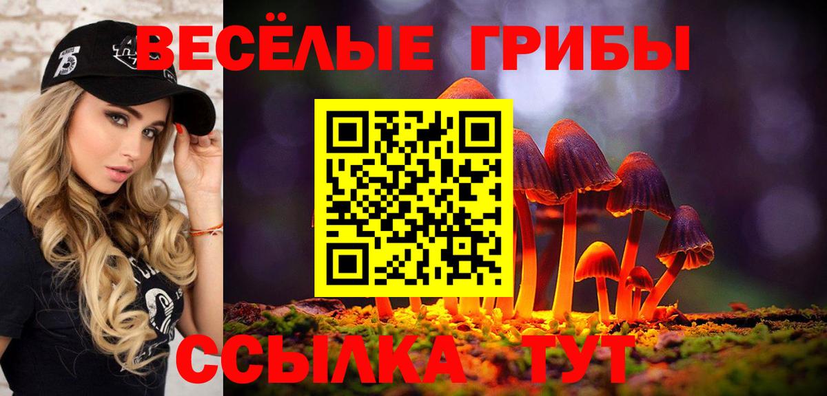 Псилоцибиновые грибы мицелий Красноярск